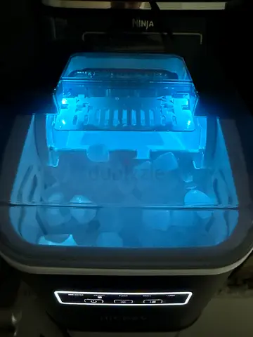 Ice maker