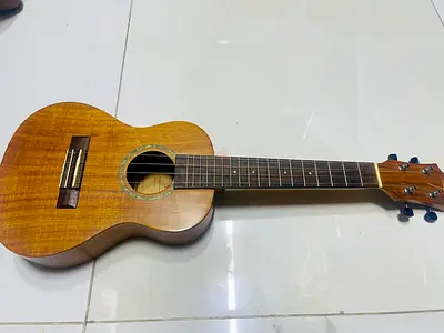 Ukulele Guitar.