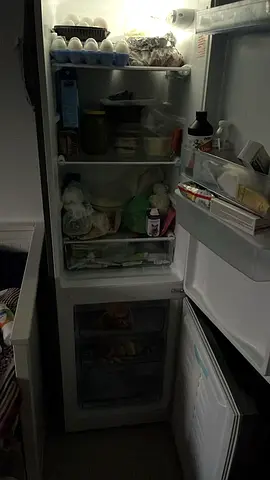 Fridge
