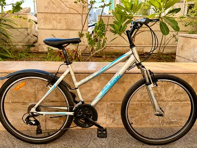 Raleigh hybrid/trekking bike - Perfect condition, 21-speed
