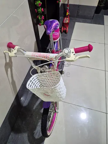 Kids 16-inch Girls Bicycle with Front Basket - Good Condition