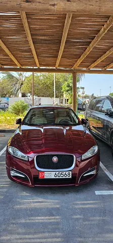 Jaguar 2015