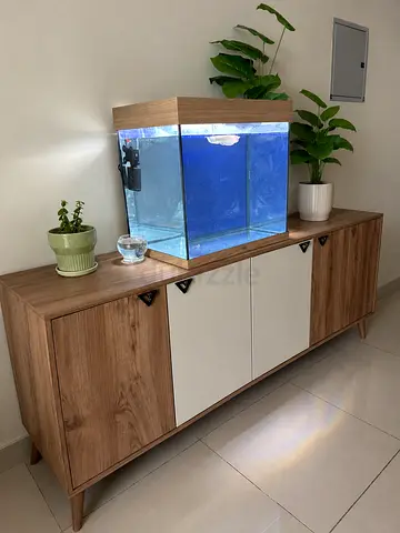 Juwel Aquarium Juwel LIDO 120 + Cabinet + Arowana + Juwel Filter