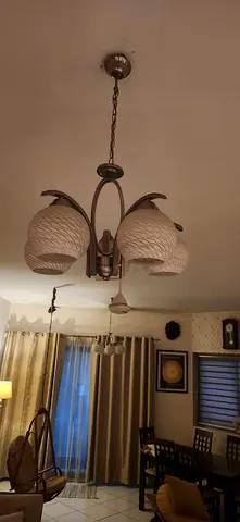 5-Light Decorative Ceiling Chandelier with Matte stainless Finish - Set piece of 2