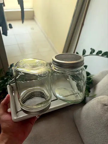 Pair of Glass Sprouting Jars with Mesh Lids and Stand