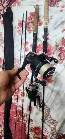 Set of fishing rods with spinning reels - ready to use