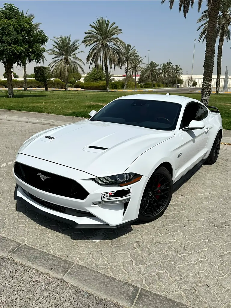 Ford Mustang 2023 — photo 1 of 14