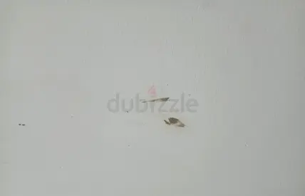 painting service