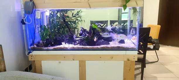 beautiful aquarium set ( running ) for sale