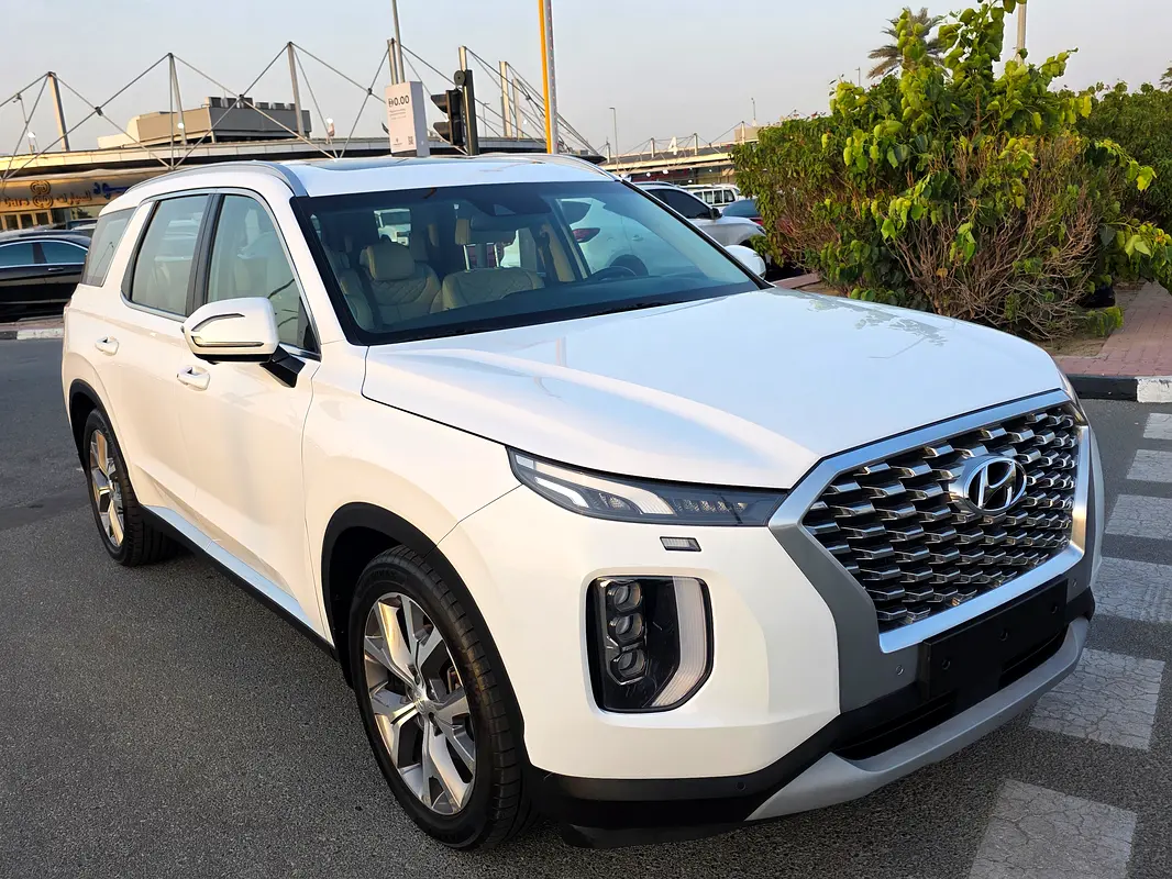 Hyundai Palisade 2021 — photo 1 of 20