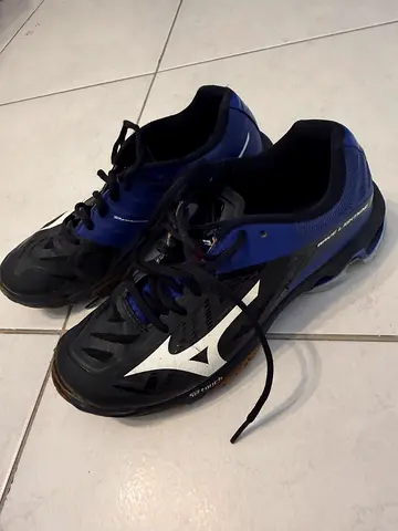 Mizuno shoes