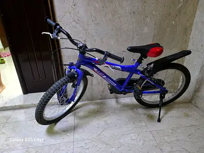 Children cycle