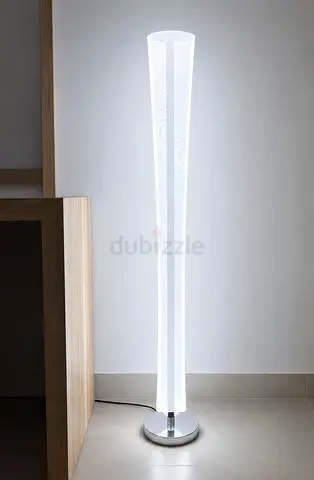 Modern LED Floor Lamp with dual color temperature