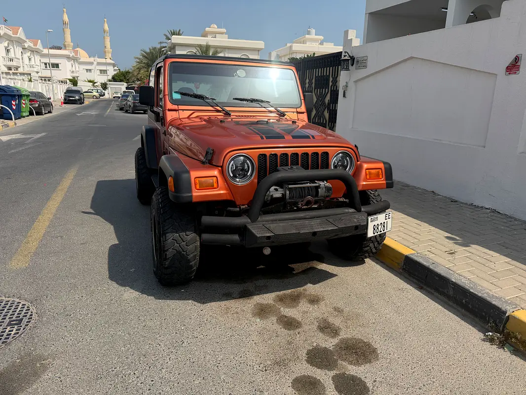 Jeep Wrangler 2001 — photo 1 of 9