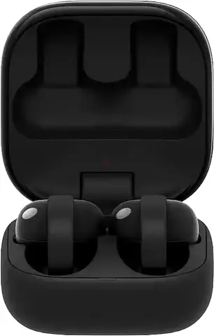 True  Wireless Bluetooth Earbuds with Charging Case (Black)