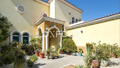 Well Maintained | Available in August | Light Filled