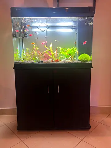 Aquarium with cabinet