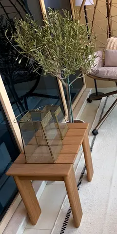 West Elm Outdoor Solid wood side table