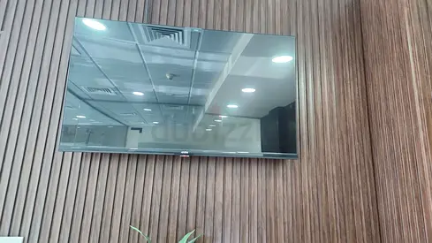 US4 Smart TV (32)