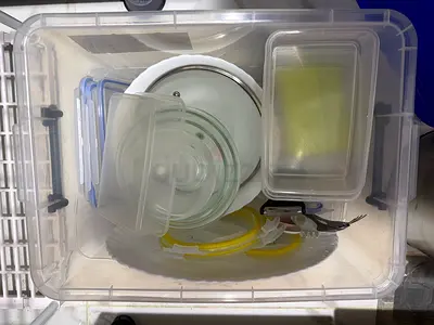 Moving out sale Take all today Kitchen utensils