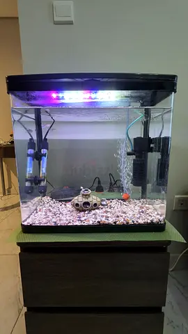 Aquarium Tank with Filter, Light and Accessories - Ready to Use.