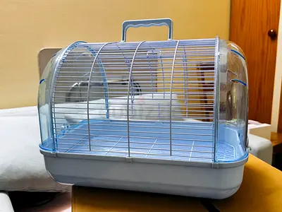 Portable small bird cage with carry handle - good condition. Birds cage