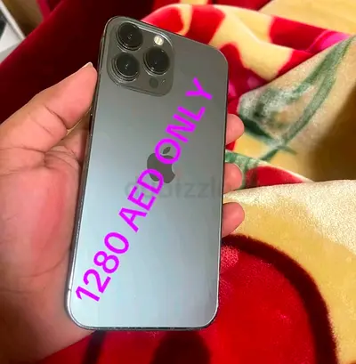 iPhone 13 pro Max 256GB panel and camera change but working nice