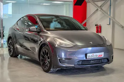 2022 Tesla MODEL Y — фото 1