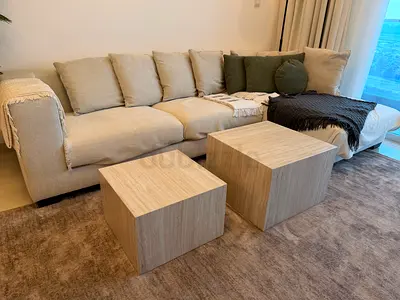 Stylish and sleek coffee table (set of 2)
