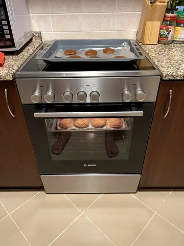Bosch Built-In Electric Oven