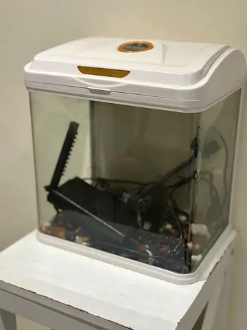 Small desktop fish aquarium with lid and filter - used