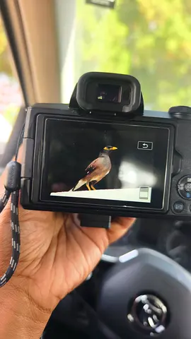 Canon m50