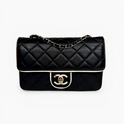 AUTHENTIC CHANEL WALLET ON CHAIN 2026 COLLECTION WITH PALE GOLD HARDWARE