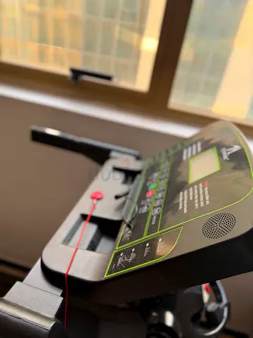 TAVSPORT Home Treadmill with Massager