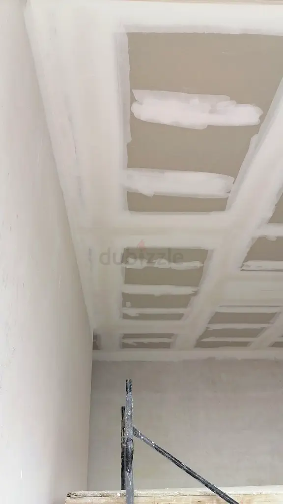 DPV_View_Image_6