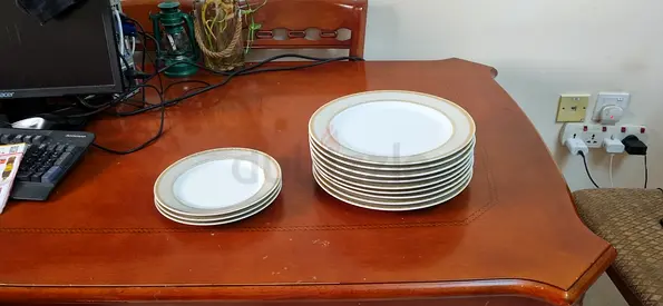 Dinner plates