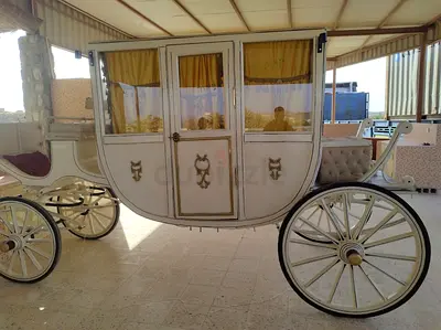 Vintage-style White Wedding/Photo Shoot Horse Carriage - Good Condition