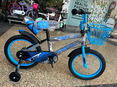 Kids 16-inch GT Kinetic Bicycle with Training Wheels and Front Basket