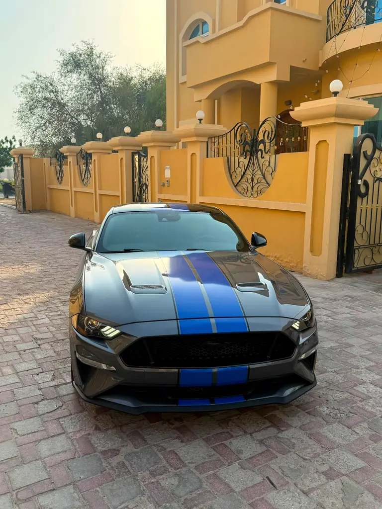 Ford Mustang 2021 — photo 1 of 20