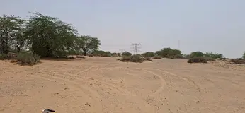 Industrial land for annual rent in Al Arqoub | 58,494 sq ft | Ideal for warehouses and light industr