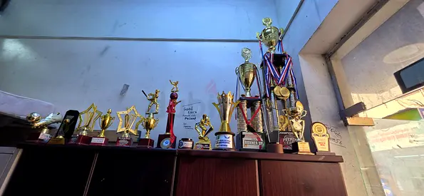 Collection of Trophies and Awards - Various Sizes