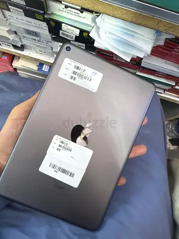 iPad Mini 5 (Space Gray) - Good Working Condition