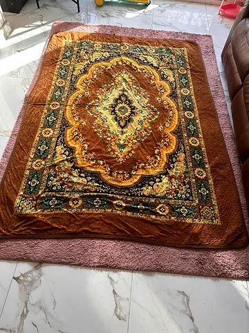 Used Plush Persian-Style Area Rug — Brown/Gold, 4x6 (approx) - Good Condition