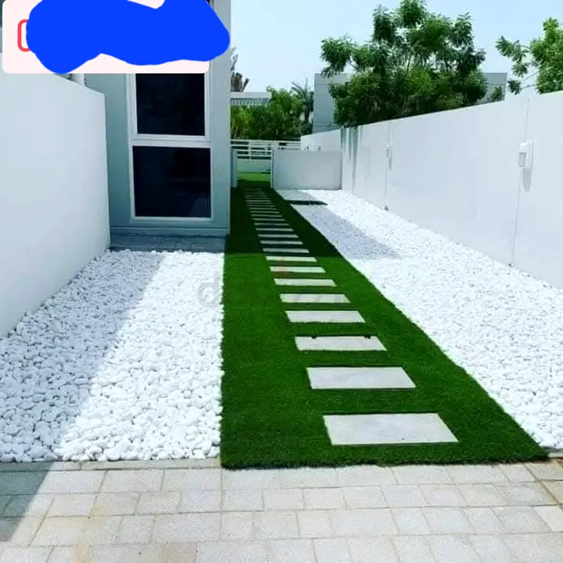 DPV_View_Image_1