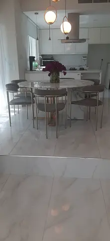 Geminis Dining table, whole set along with flower pot