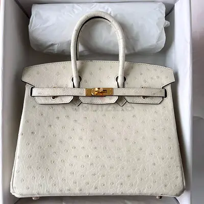 Hermes Birkin 25 Retourne In Beton Ostrich Leather