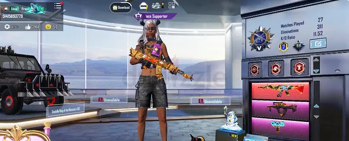 PUBG mobile account
