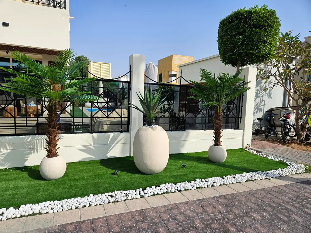 DPV_View_Image_9