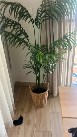 Artificial plant IKEA
