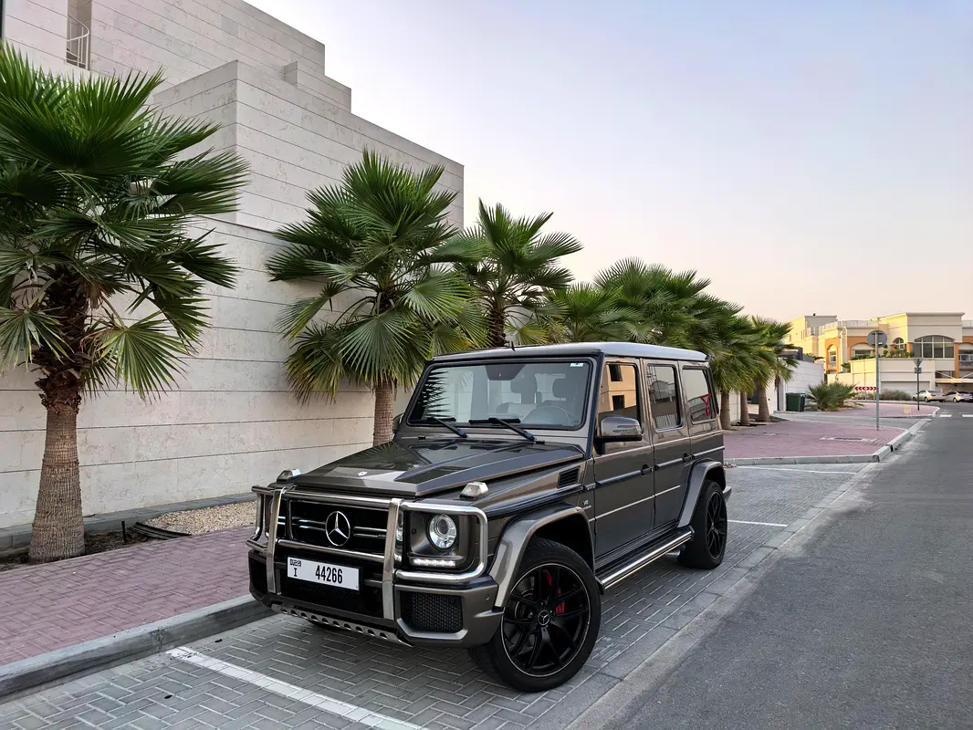 Mercedes-Benz G-Class 2016 — photo 1 of 20